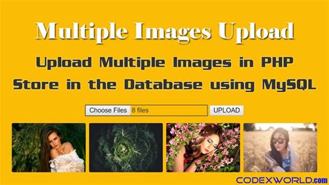 Upload Multiple Images And Store In Database Using Php And Mysql Youtube