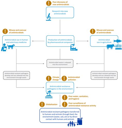 Antimicrobial Resistance The Silent Global Pandemic Australian