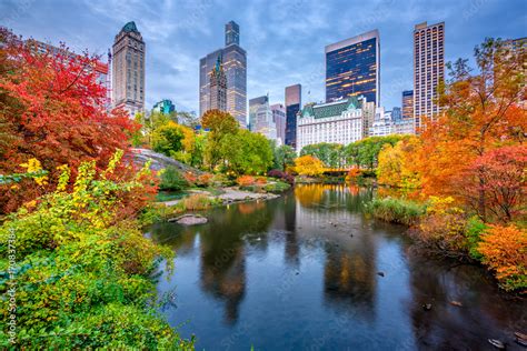 Central Park Autumn In New York City Stock Photo Adobe Stock