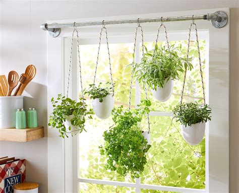 Hanging Window Herb Planters Hanging Herbs Hanging Plants Indoor