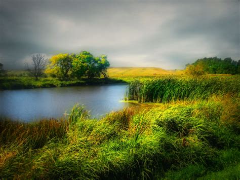 Wallpaper Trees Sky Green Grass River Brush Shore Northdakota