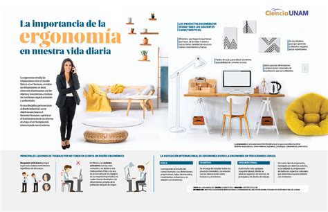 Importancia De La Ergonomia En El Puesto De Trabajo Riset