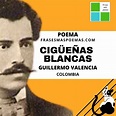 "Cigüeñas Blancas" de Guillermo Valencia (Poema) - Frases más poemas