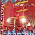 Working in the Backroom - Album by Howard Jones | Spotify