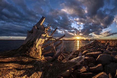 Devils Lake Driftwood North Dakota Photograph By Peter Herman Pixels