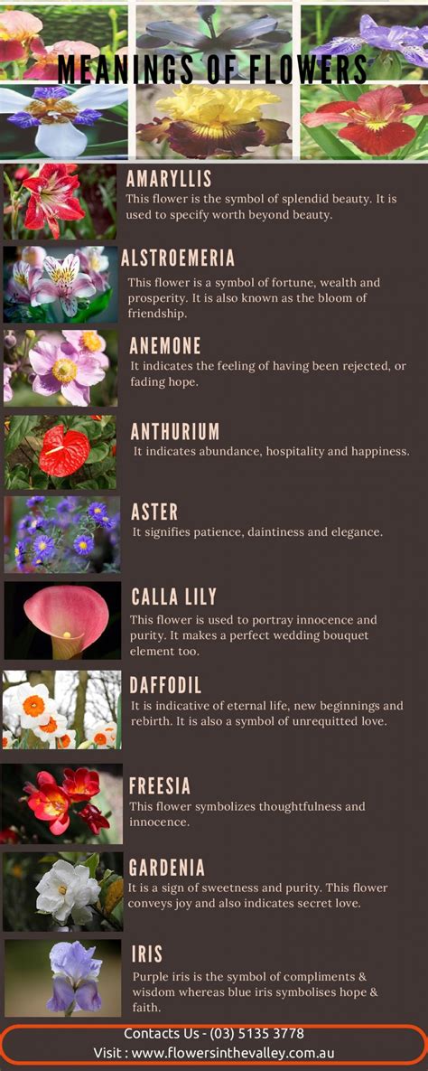 Meanings Of Flowers Infographic | Flower meanings, Flowers ...