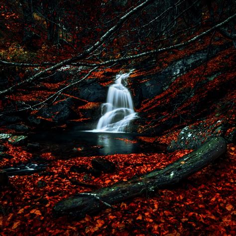 Waterfalls Wallpaper 4k Autumn Dark Forest Foliage Woods Red
