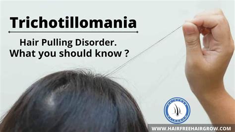 Trichotillomania Hair Pulling Disorder Hair Pulling Pulling Hair Out Trichotillomania