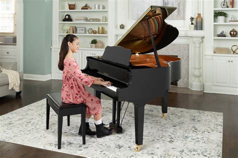 Placement Baby Grand Piano Living Room Baci Living Room