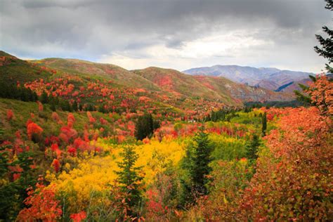 The Best Times And Places To View Fall Foliage In Utah 2017