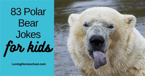 83 Polar Bear Jokes