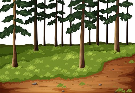 Forest Clipart Bosque Forest Bosque Transparent Free For Download On
