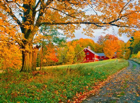 51 Photos That Prove America Truly Is Beautiful Autumn Scenery Fall