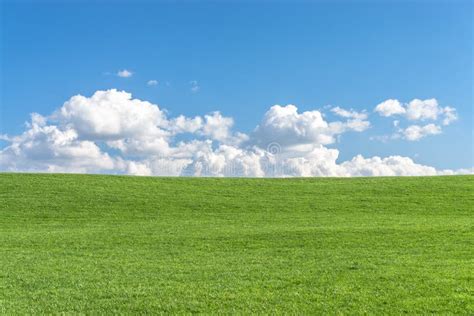 Green Grass Field With Clear Blue Sky And White Clouds Stock Photo