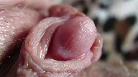 Extreme Close Up Cock Sucking Free Sex Videos Watch