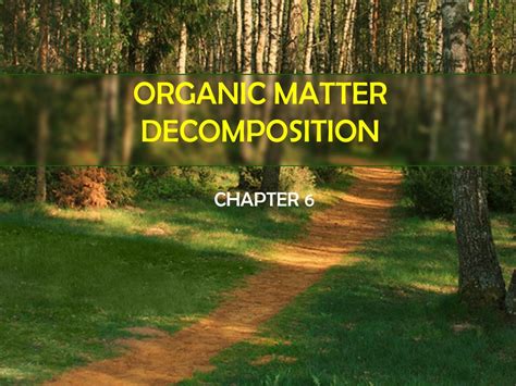 Ppt Organic Matter Decomposition Powerpoint Presentation Free