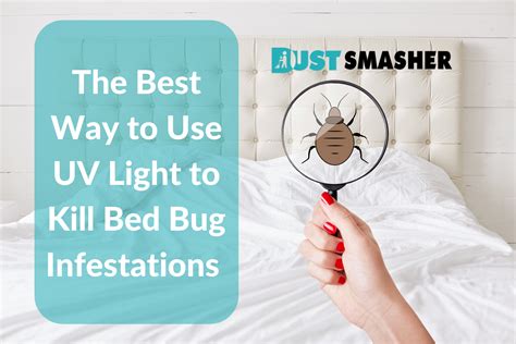 The Best Way To Use Uv Light To Kill Bed Bug Infestations Dust Smasher