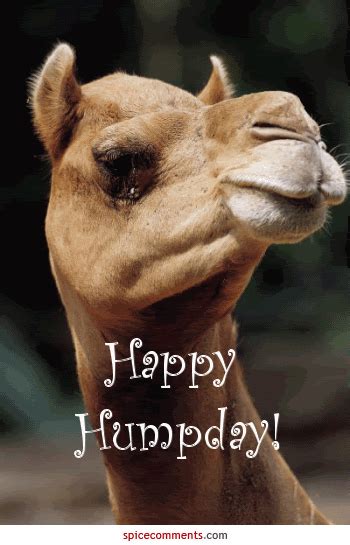 Happy Hump Day Photo This Photo Was Uploaded By