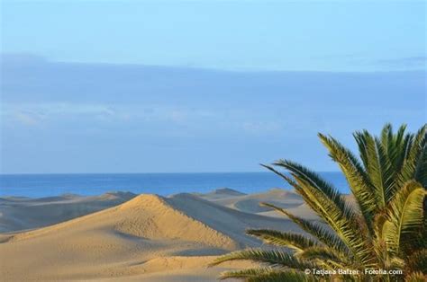 Fkk Urlaub In Maspalomas Auf Gran Canaria