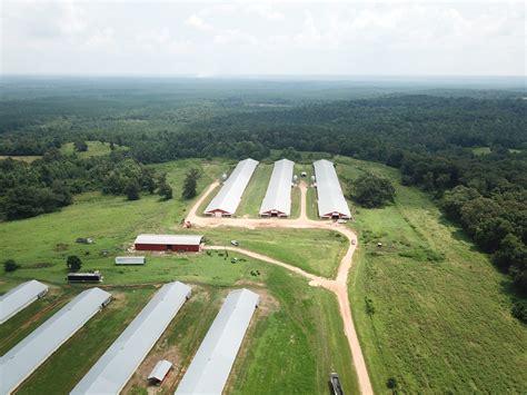 Poultry farm for sale alabama - ixdarelo
