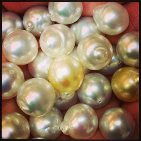 South Sea Pearls South Seas South Sea Pearls Regina Jewellery My