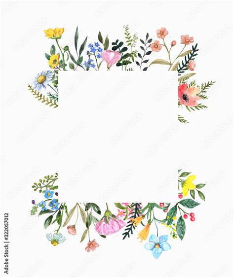 Watercolor Wildflower Frame On White Background Beautiful Summer