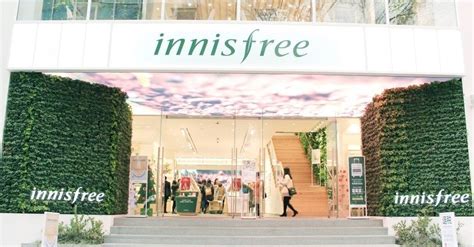 First, they introduce the green tea seed serum. Innisfree Malaysia | Innisfree USA | Innisfree Australia ...