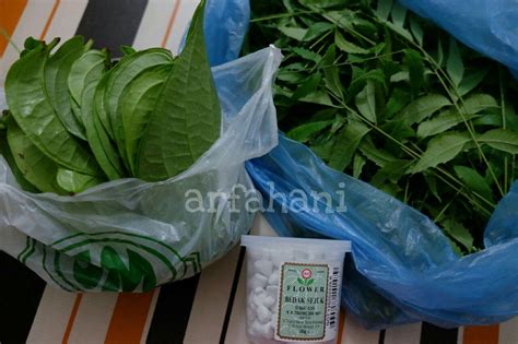 Bila nak gunakan daun semambu, maka pastilah perlu mencari pokoknya. arfahani.blogspot.my : Petua : Hilangkan Eczema/ Gatal ...