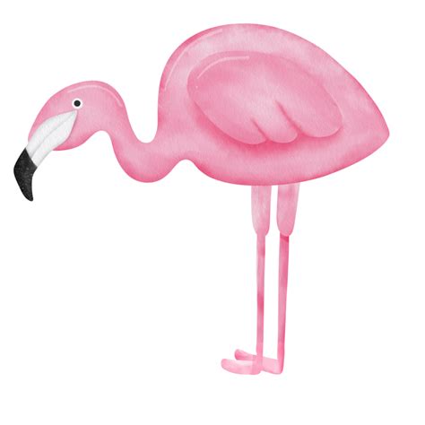 Free Watercolor Pink Flamingo Clipart 22495600 Png With Transparent