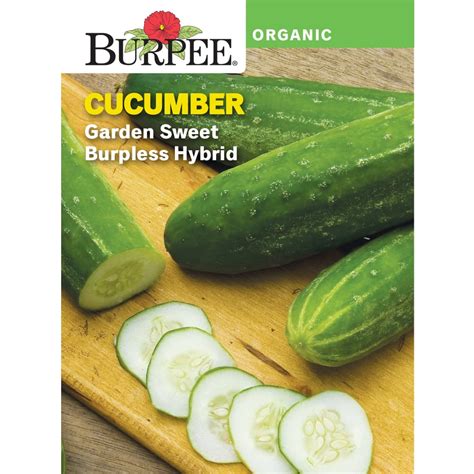 Burpee Organic Garden Sweet Burpless Hybrid Cucumber Vegetable Seed 1