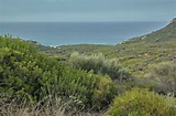 Arbustos e vegetação mediterrânea típica da costa sul da sardenha, na ...