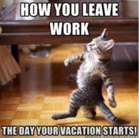 Leaving Work The Day Before Vacation Starts X Ray Pinterest