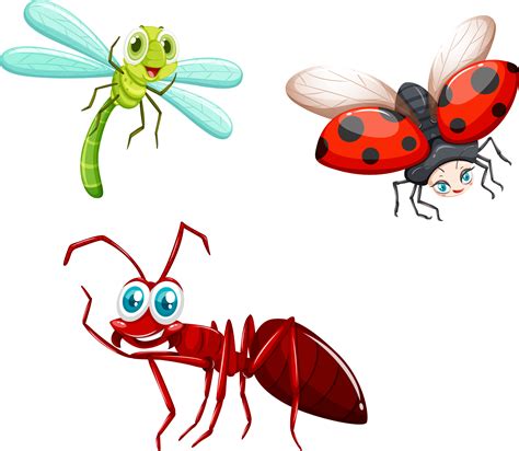 Download Insects Clipart Winged Insect Black Ant Clip Art Clipartkey