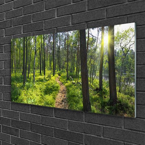 Union Rustic Nature Forest Unframed Photograph On Glass Uk