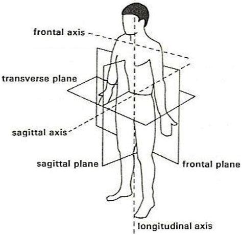 Sensors Free Full Text Goniometer Crosstalk Compensation For Knee