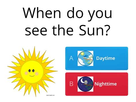 What Do You Seedo In Daytime And Nighttime Quiz