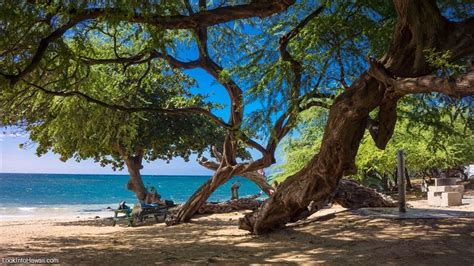 Spencer Beach Park Beaches On Big Island Kamuela Hawaii