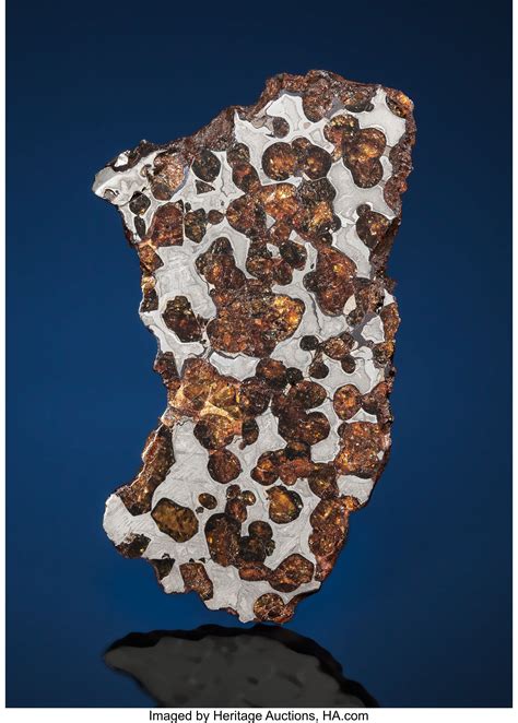 Rare Meteorite Slice Of The Sterley Pallasite Pallasite Pmg Lot