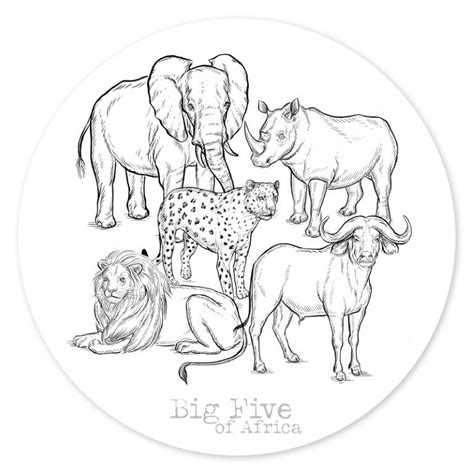 African Big Five Coloring Pages