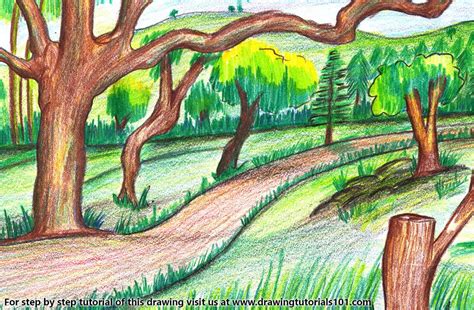 Forest Scenery Acrylic Painting Flowers Drawings Forest Scenery