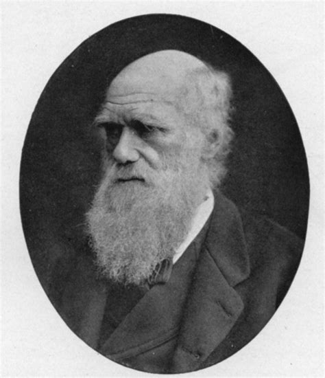 Charles Darwin 379137 Uludağ Sözlük Galeri