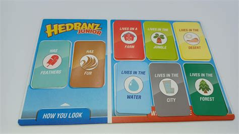 Hedbanz Junior Board Game Rules And Instructions For How To Play