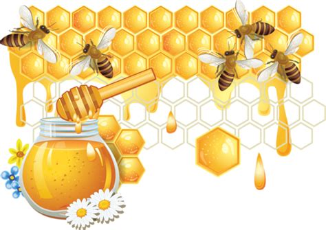 Bee Png Transparent Image Download Size 600x425px
