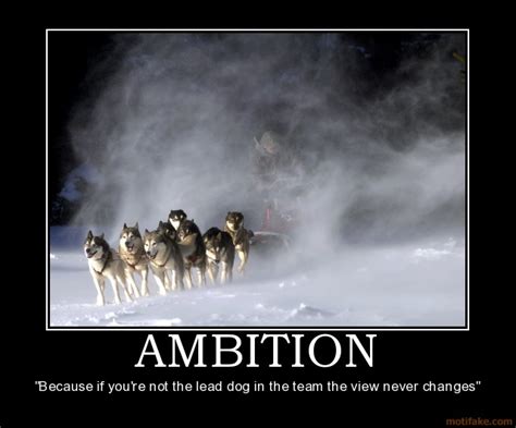 Ambition Carries Me To Success The Sign Of Strong Ambition