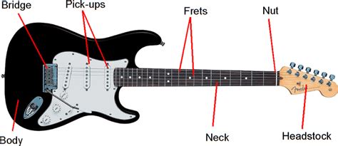 The different types of bridges available for electric guitars are covered later as well as why guitarists use different bridges. 2.: Parts of an electric guitar | Download Scientific Diagram