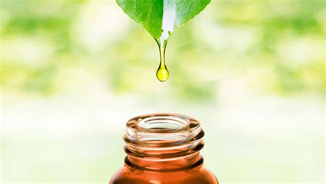 Essential Oil Guide What Oils To Use How To Use Them And Safety Tips