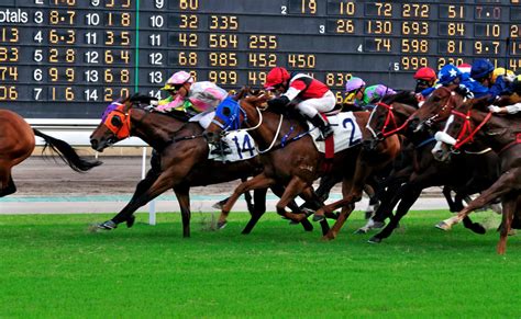 Sign up for our newsletter. Hong Kong Horse Racing Day Tour