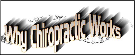 Why Chiropractic Care Works Chiropractor San Diego Dr Steve Jones