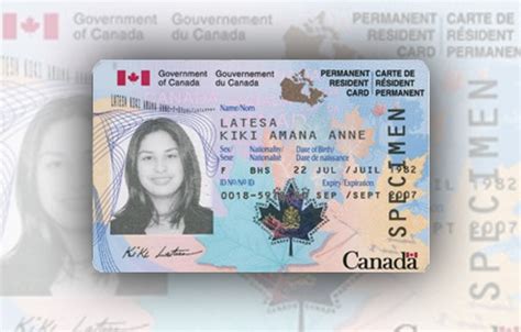 All driver's licenses may now be renewed online. Buy fake Canadian ID card online | Buy real Canadian ID card online