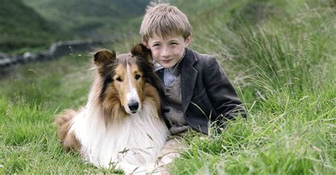 Lassie · Film 2005 · Trailer · Kritik